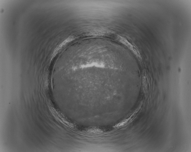 X0000085270203200703231749