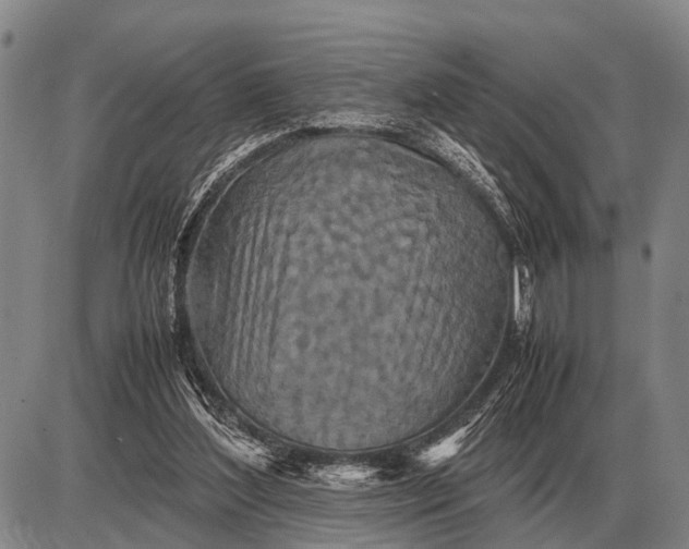 X0000085270204200703231749