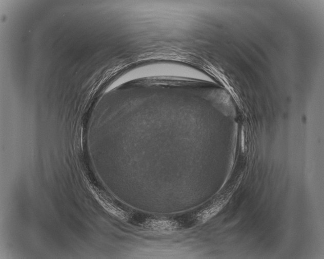 X0000085270205200703231749