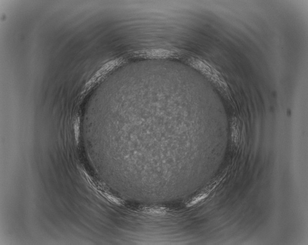 X0000085270206200703231749