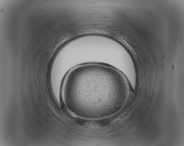 X0000085270207200703231749