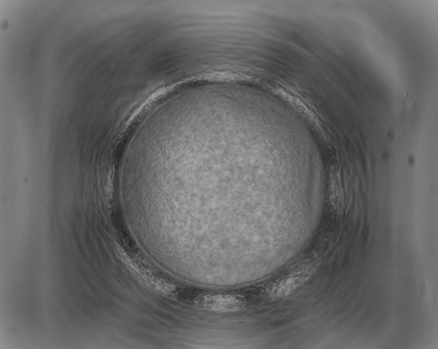 X0000085270208200703231749