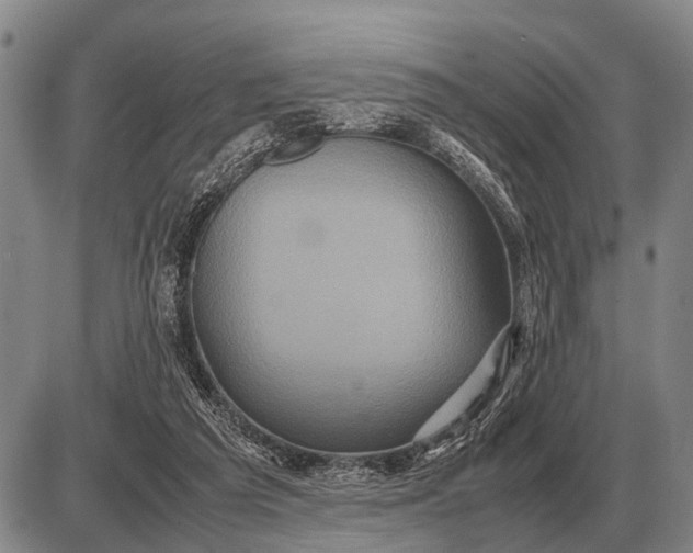 X0000085270209200703231749