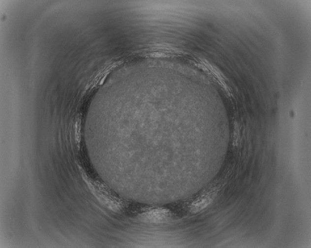 X0000085270210200703231749