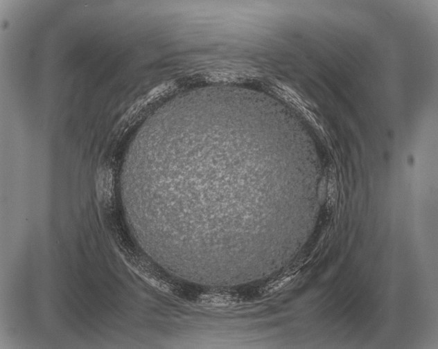 X0000085270211200703231749