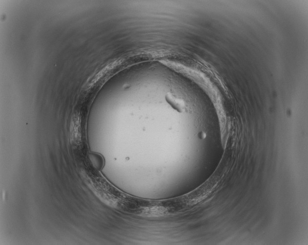 X0000085270212200703231749