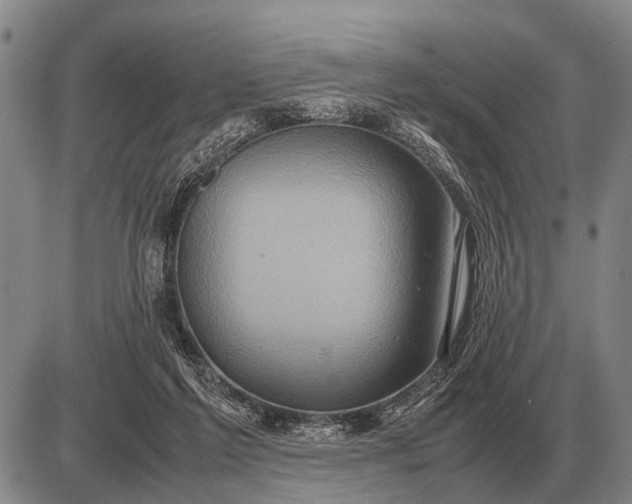 X0000085270213200703231749