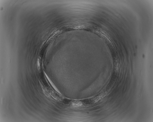 X0000085270214200703231749