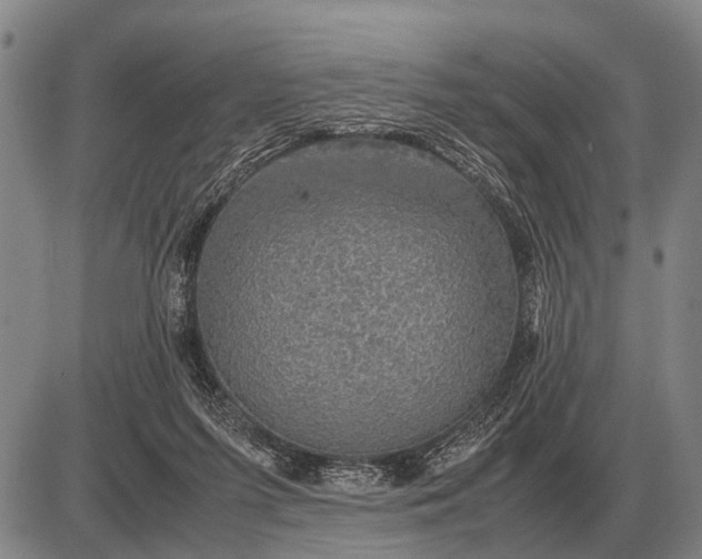 X0000085270215200703231749