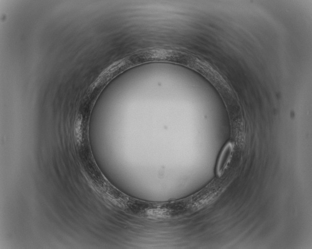 X0000085270216200703231749