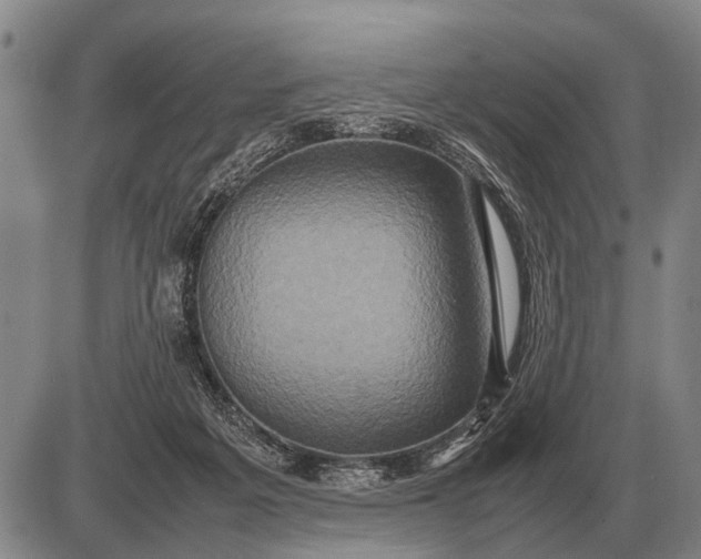 X0000085270217200703231749