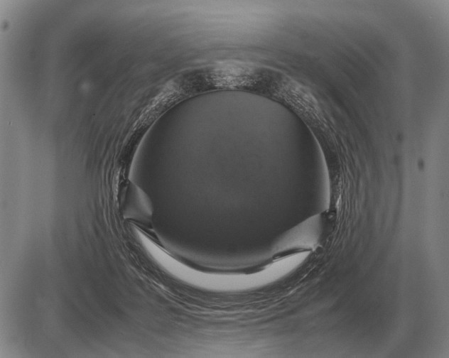 X0000085270219200703231749