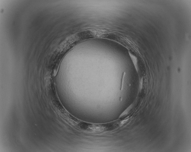 X0000085270221200703231749