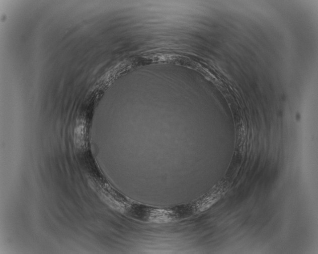 X0000085270222200703231749