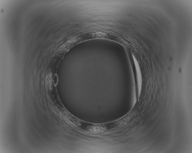 X0000085270223200703231749