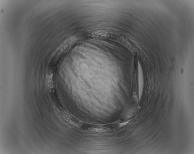 X0000085270224200703231749