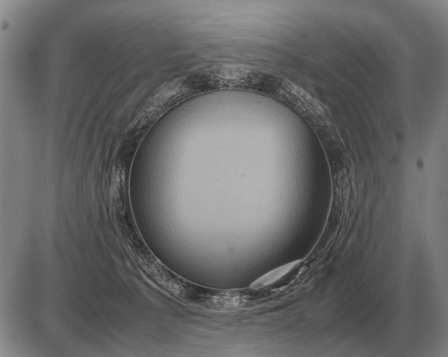 X0000085270225200703231749