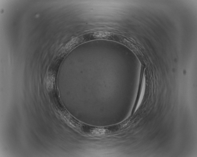 X0000085270227200703231749