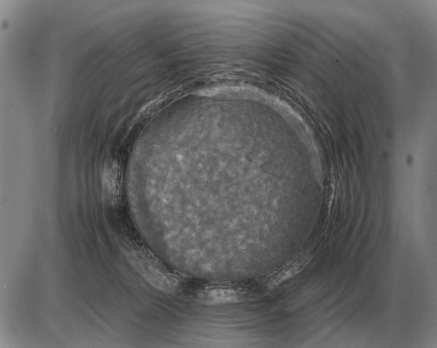 X0000085270228200703231749