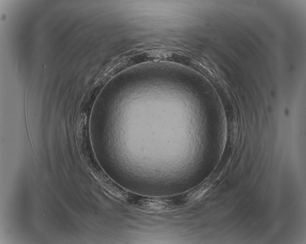 X0000085270229200703231749