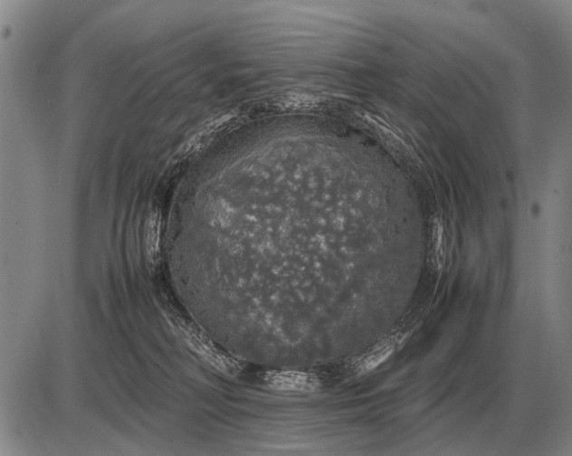 X0000085270230200703231749