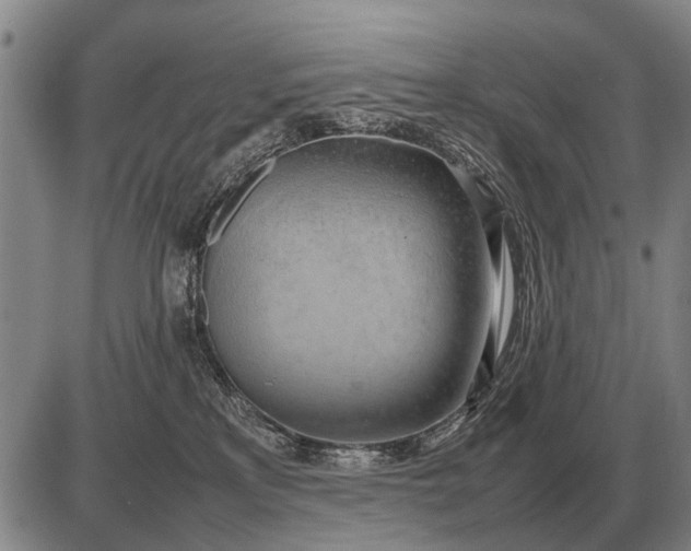 X0000085270233200703231749