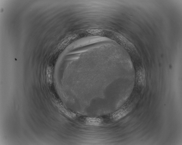 X0000085270234200703231749