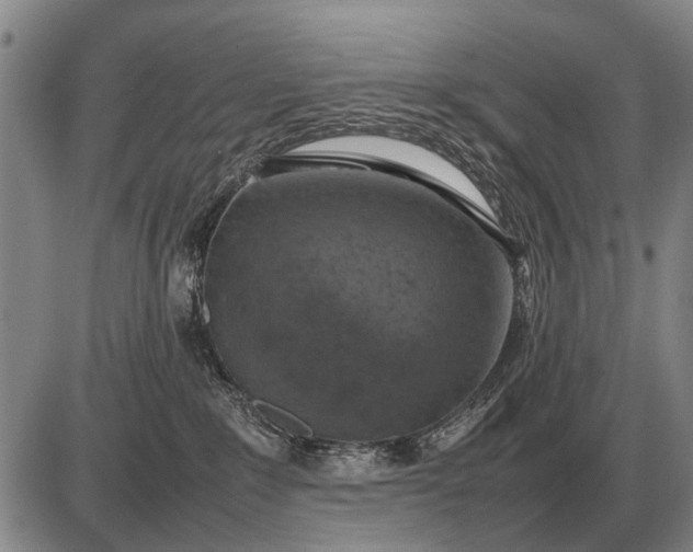 X0000085270235200703231749