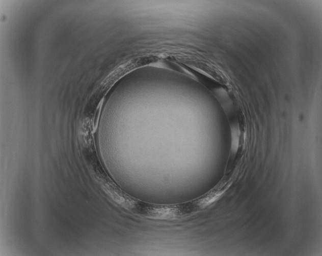 X0000085270237200703231749