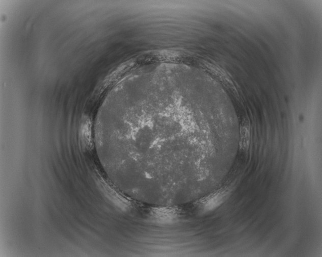 X0000085270238200703231749