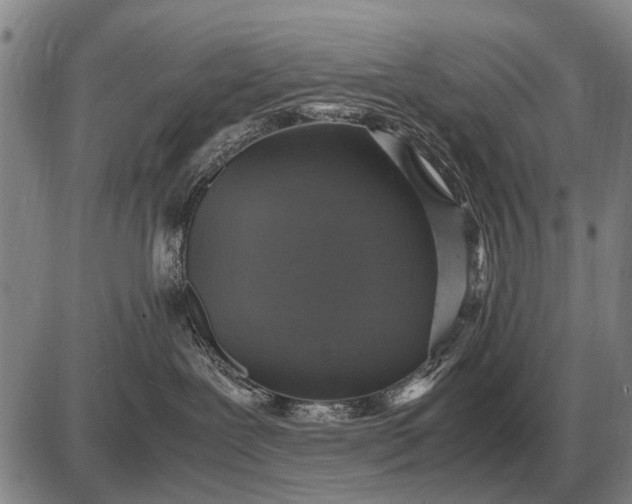 X0000085270239200703231749