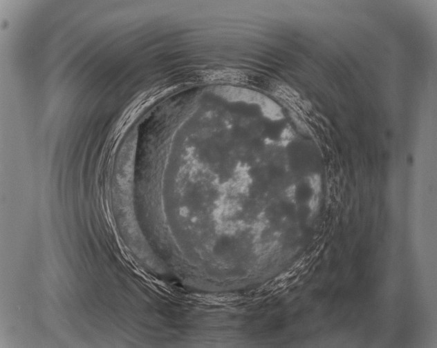 X0000085270241200703231748