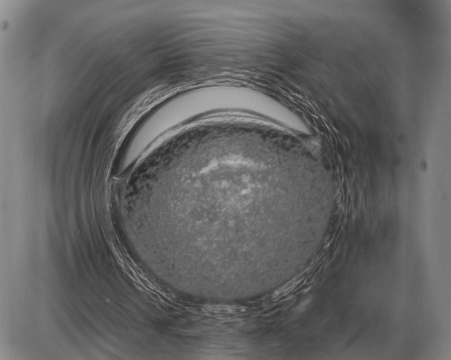 X0000085270242200703231748