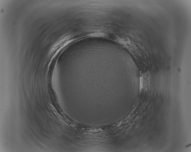 X0000085270243200703231748