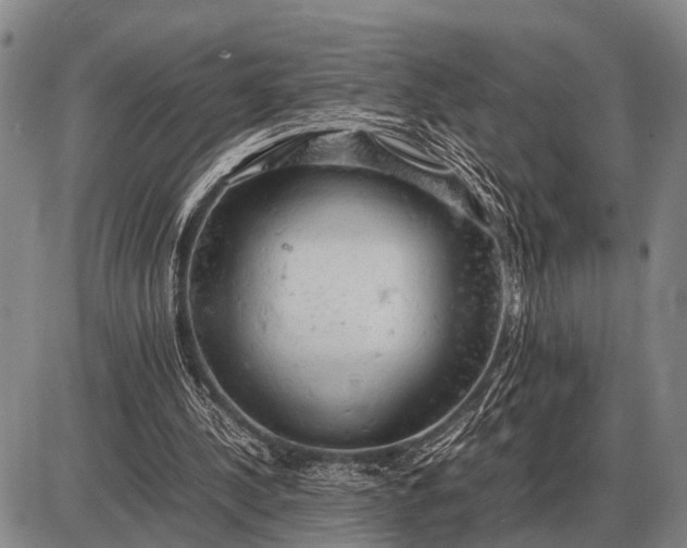 X0000085270244200703231748