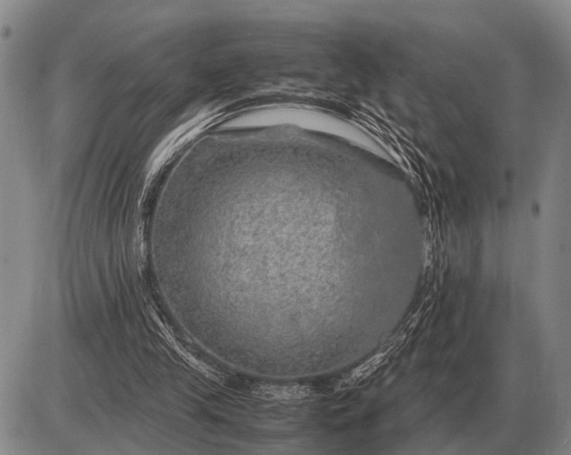 X0000085270245200703231748