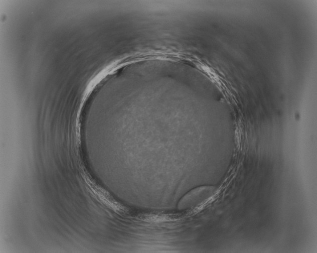 X0000085270246200703231748