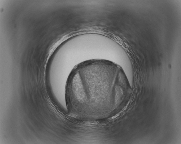 X0000085270248200703231748