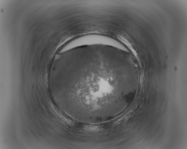 X0000085270249200703231748