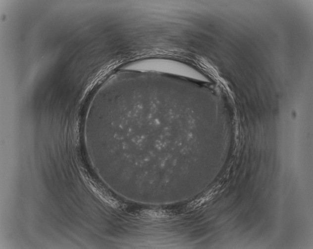 X0000085270250200703231748