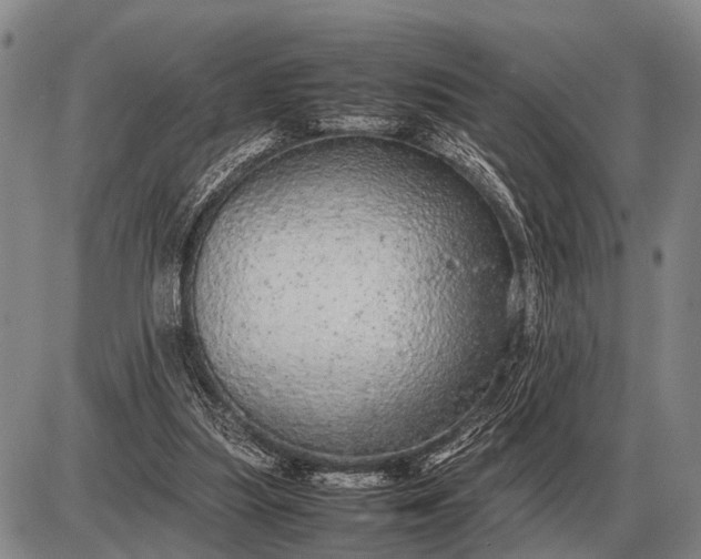 X0000085270251200703231748