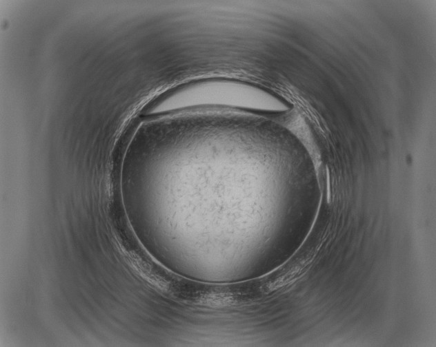 X0000085270252200703231748