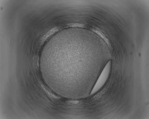 X0000085270253200703231748