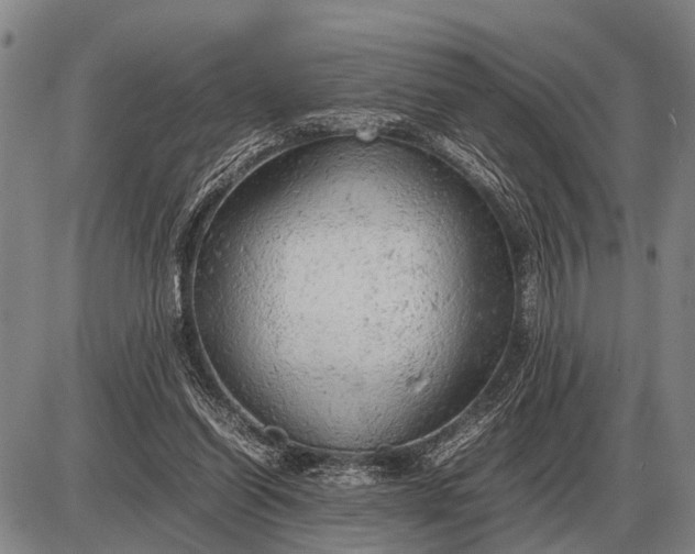 X0000085270254200703231748