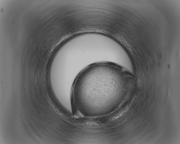 X0000085270256200703231748