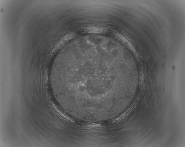 X0000085270257200703231748