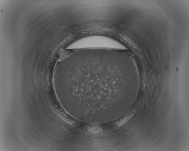 X0000085270258200703231748