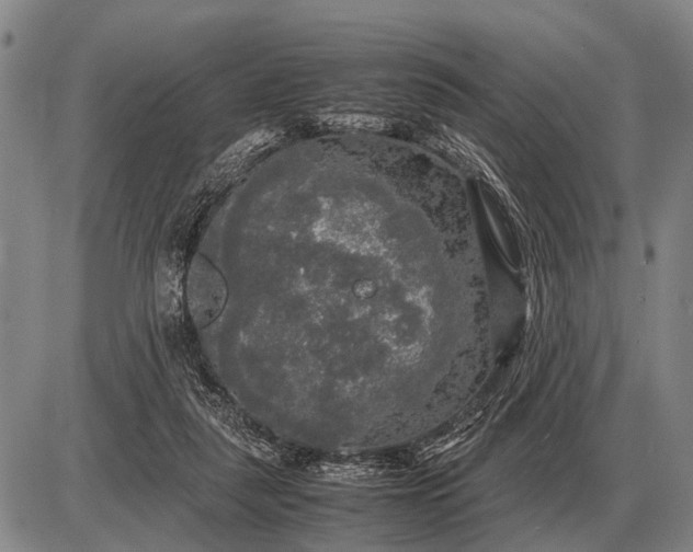 X0000085270259200703231748