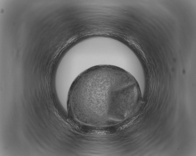 X0000085270260200703231748