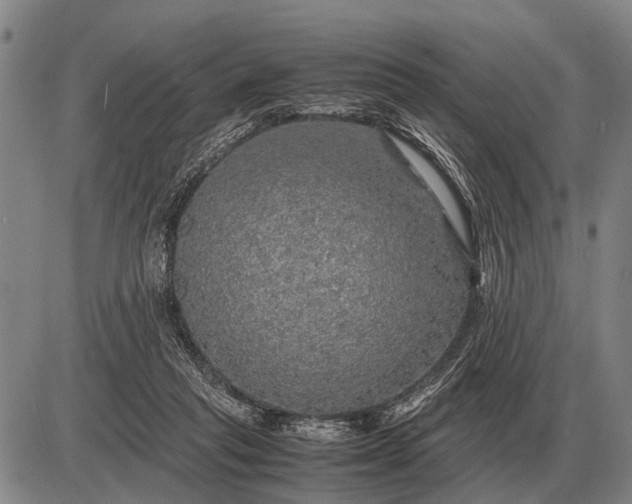 X0000085270261200703231748